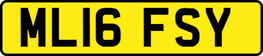ML16FSY