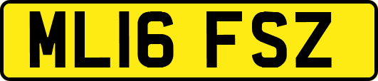 ML16FSZ