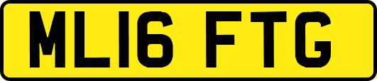ML16FTG