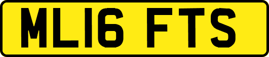 ML16FTS