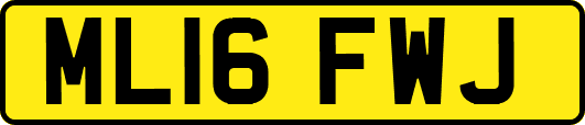 ML16FWJ