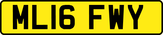 ML16FWY