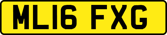 ML16FXG