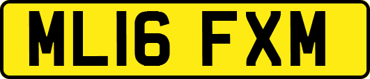 ML16FXM