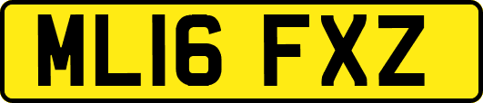 ML16FXZ