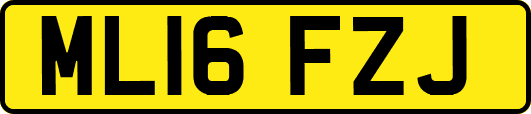 ML16FZJ