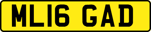 ML16GAD