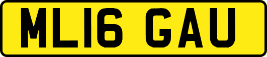ML16GAU