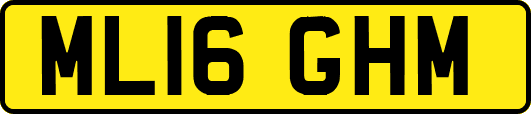ML16GHM