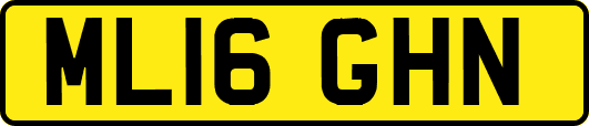 ML16GHN