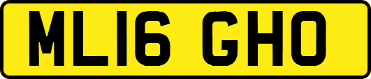 ML16GHO