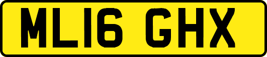 ML16GHX