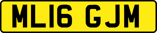 ML16GJM