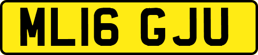 ML16GJU