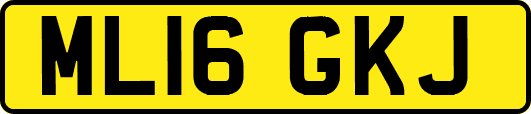 ML16GKJ