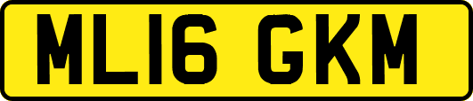 ML16GKM
