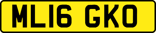 ML16GKO