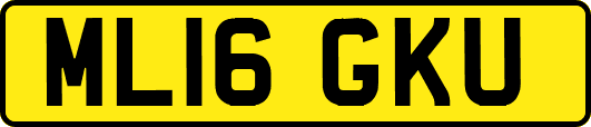 ML16GKU