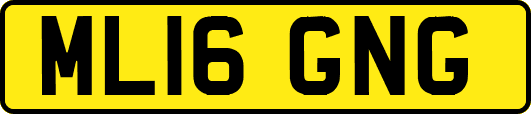 ML16GNG
