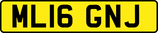 ML16GNJ