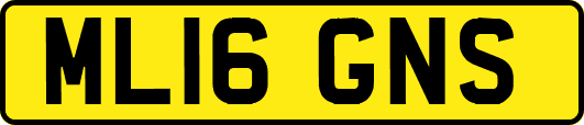 ML16GNS
