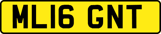 ML16GNT