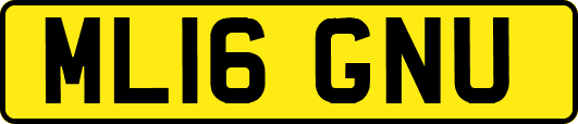 ML16GNU