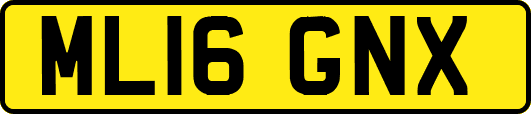 ML16GNX