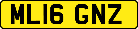 ML16GNZ