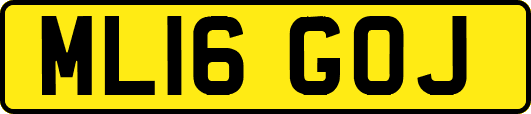 ML16GOJ