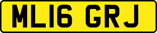 ML16GRJ