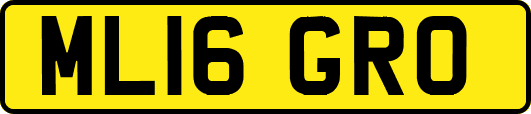 ML16GRO