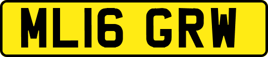 ML16GRW