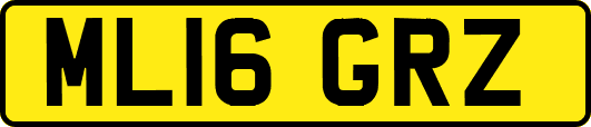 ML16GRZ