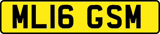 ML16GSM