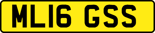 ML16GSS