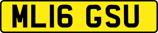 ML16GSU