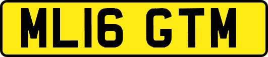 ML16GTM