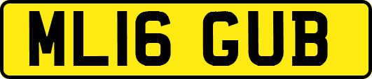 ML16GUB
