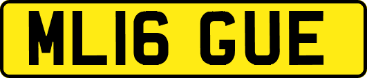 ML16GUE
