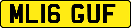 ML16GUF