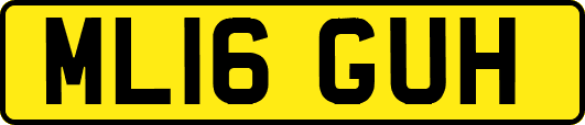 ML16GUH