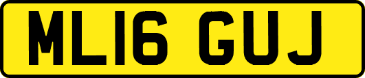 ML16GUJ