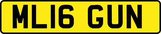 ML16GUN