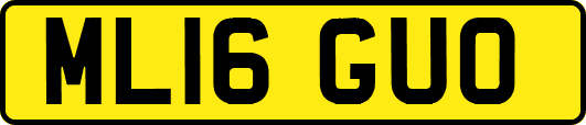 ML16GUO