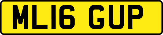 ML16GUP