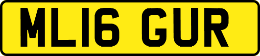 ML16GUR