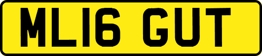 ML16GUT
