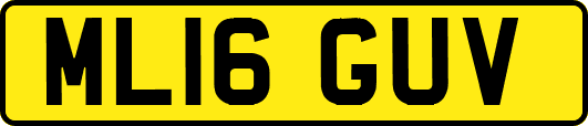 ML16GUV