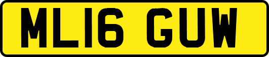 ML16GUW